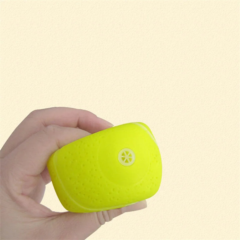 Squeaky Pet Dog Ball