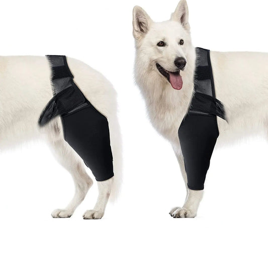 Dog Full Leg Brace