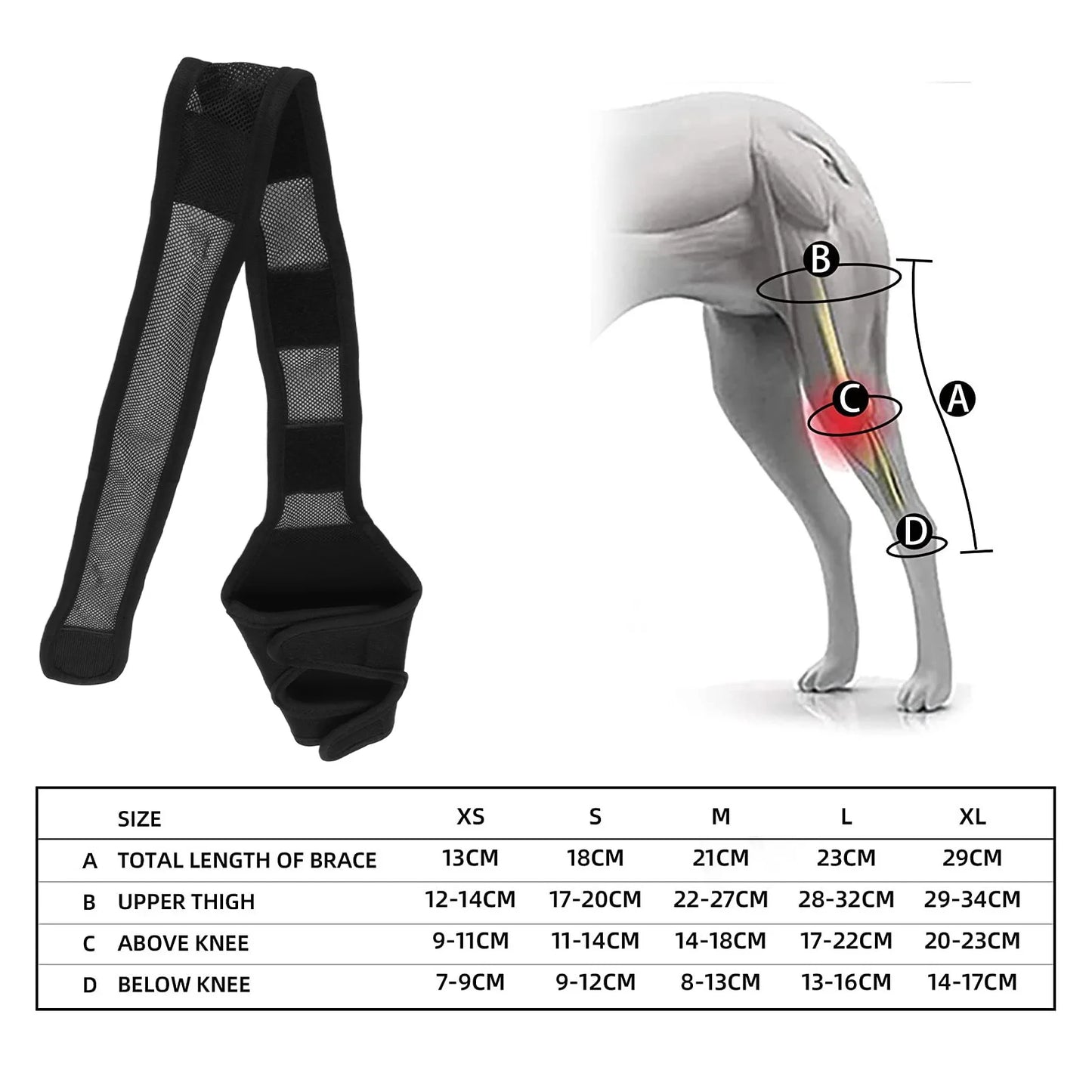 Dog Full Leg Brace