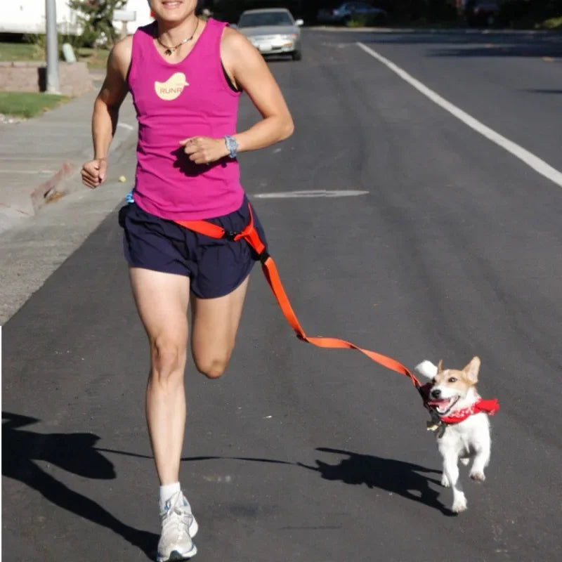 Adjustable Hands Free Pet Leash Waist Belt