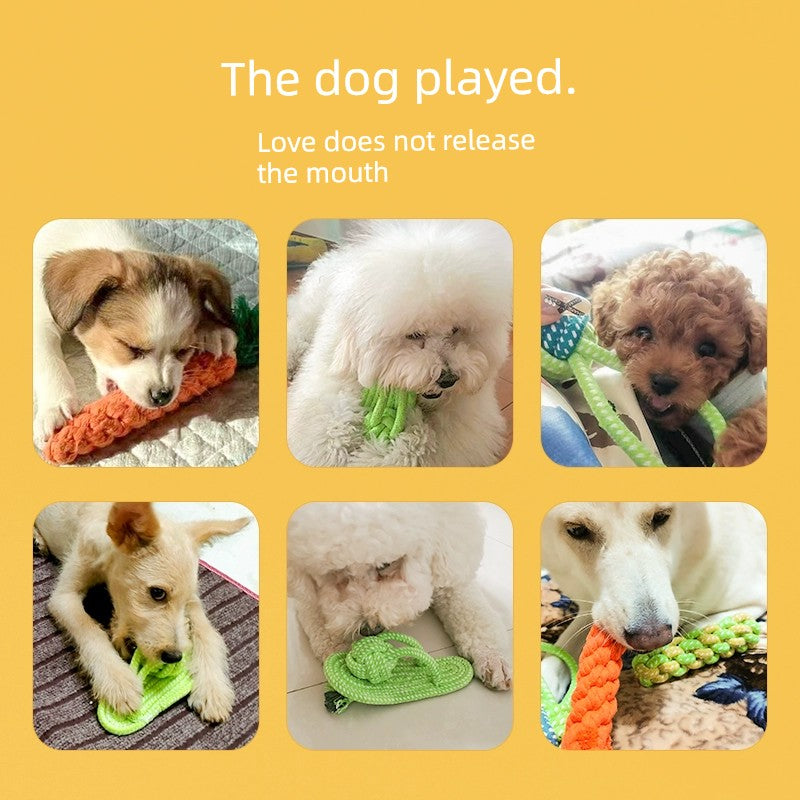 Food Shaped Dog Toys