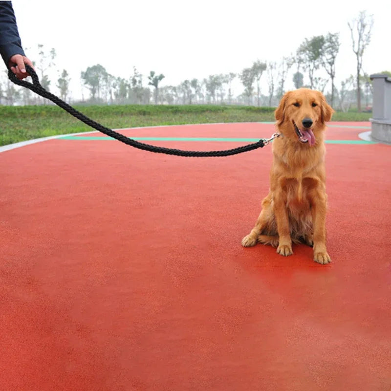 Dog Leash Rope