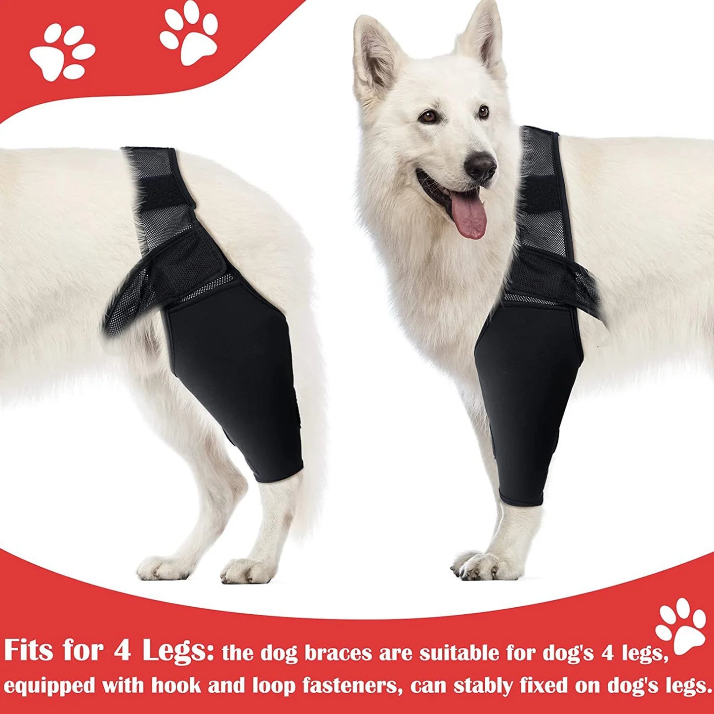 Dog Full Leg Brace