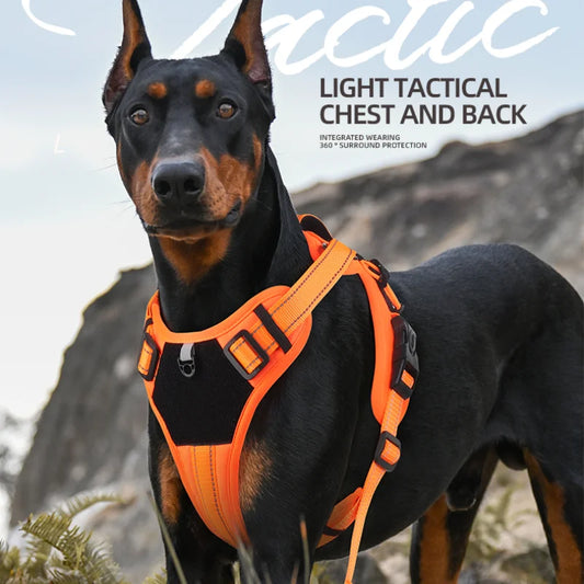 Reflective Dog Harness