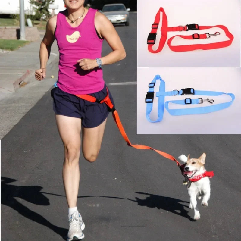 Adjustable Hands Free Pet Leash Waist Belt