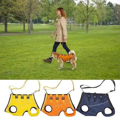 Dog Lift Harness