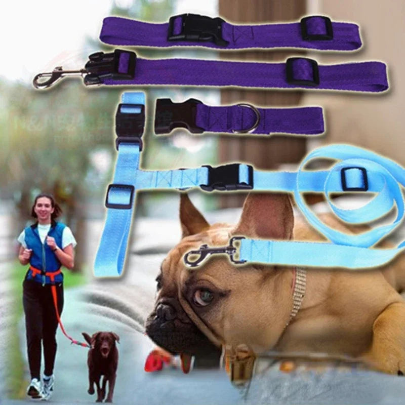 Adjustable Hands Free Pet Leash Waist Belt